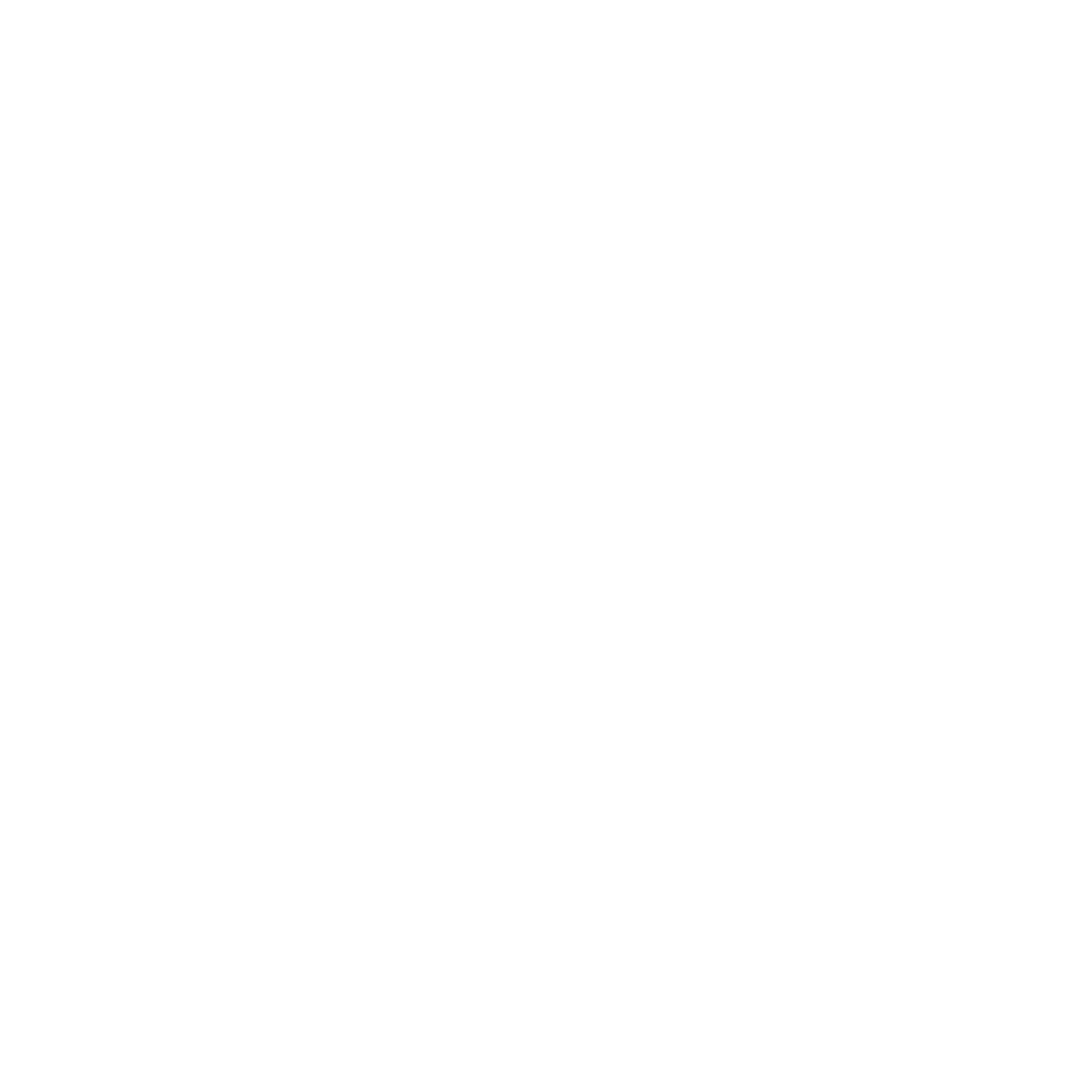 laptop icon