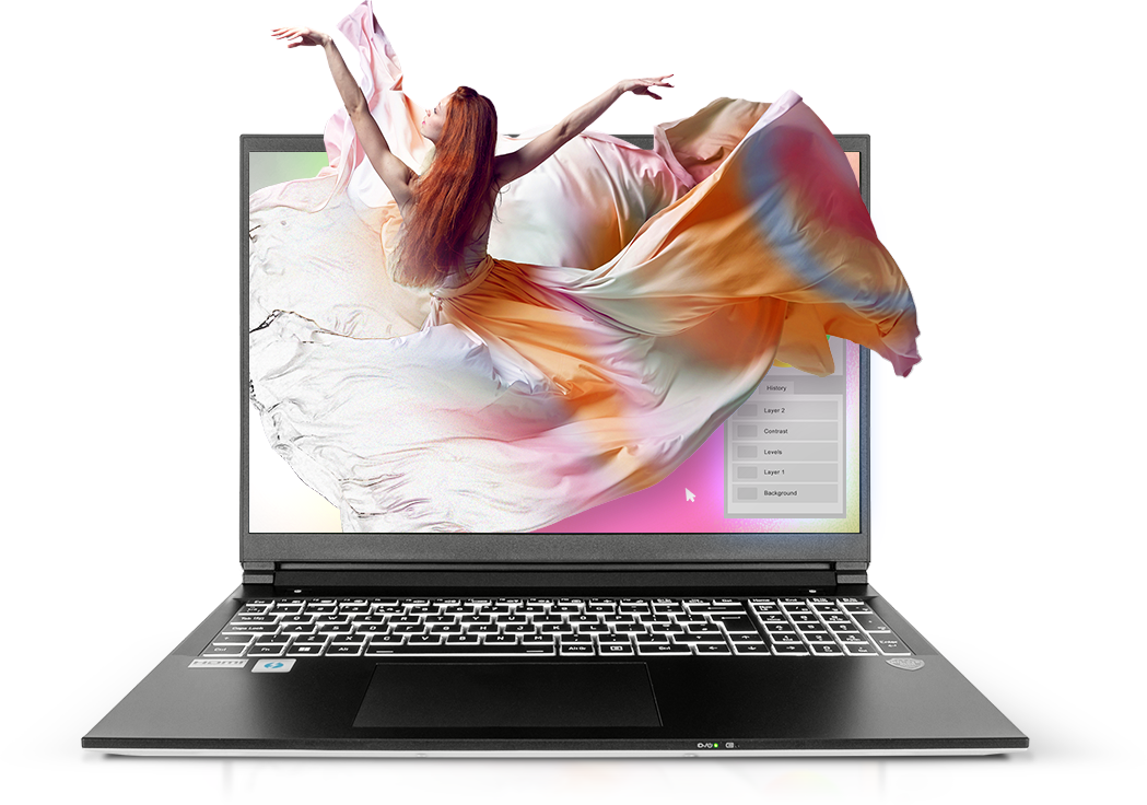 lafite laptop